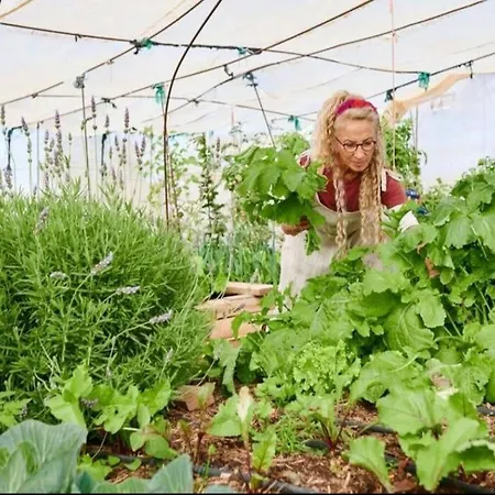 Apartmán Alegria Aire - Eco Retreat Artis Tirma