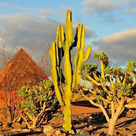 Apartment Alegria Aire - Eco Retreat Artis Tirma