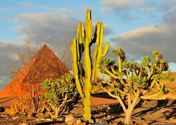 公寓 Alegria Aire - Eco Retreat Artis Tirma