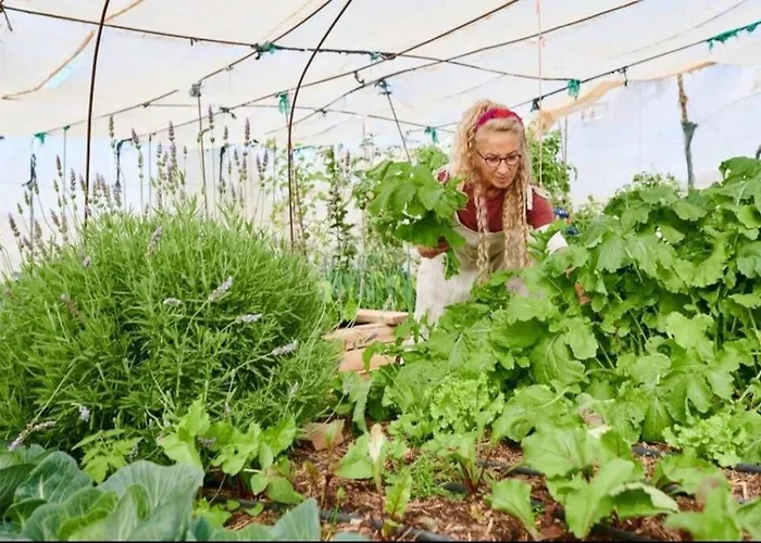 公寓 Alegria Aire - Eco Retreat Artis Tirma